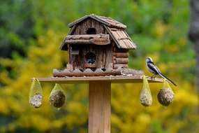 Bird table